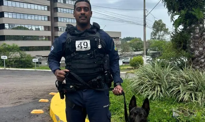 Guardas Municipais de Imbé participam de treinamento especializado com cães de Polícia
