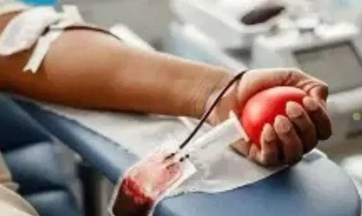 Hemocentro do Rio Grande do Sul vai abrir no sábado (10) para receber doadores e complementar estoques de sangueHemocentro do Rio Grande do Sul vai abrir no sábado (10) para receber doadores e complementar estoques de sangue
