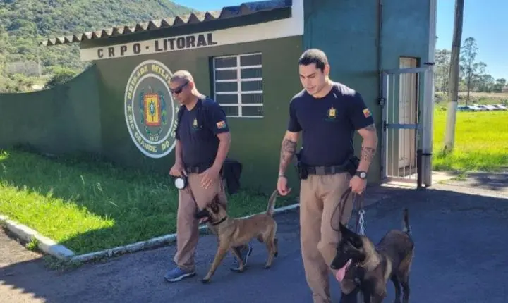 Investimentos do governo do Estado e integração das forças de segurança reduzem criminalidade no Litoral Norte