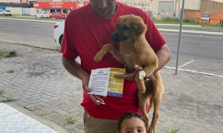 Mutirão castra 84 animais em Imbé