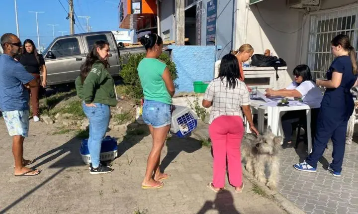 Mutirão castra 84 animais em Imbé