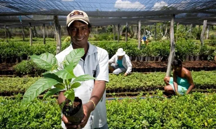 No Rio Grande do Sul, órgãos públicos já contrataram mais de R$ 4,1 milhões de microempreendedores e agricultores familiares pelo Contrata+Brasil
