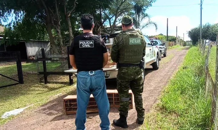 Polícia Civil e Patram realiza ação contra crimes ambientais em Osório