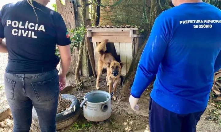 POLÍCIA CIVIL PRENDE HOMEM POR MAUS TRATOS CONTRA CÃES DOMÉSTICOS EM OSÓRIO