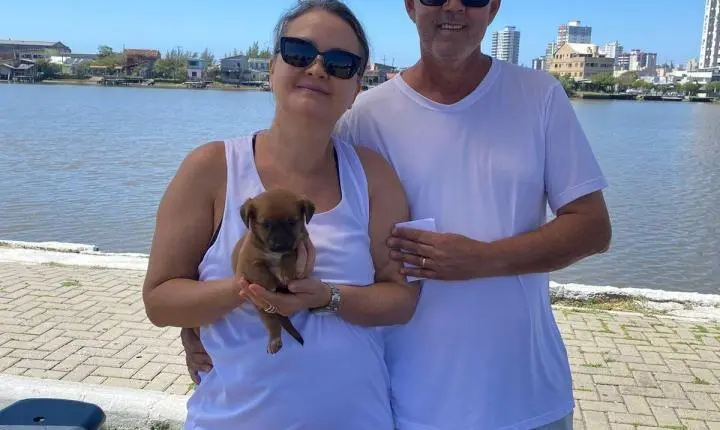 Sete Cães Ganharam Novos Lares Na Última Edição Da Feira De Adoção