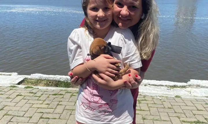 Sete Cães Ganharam Novos Lares Na Última Edição Da Feira De Adoção