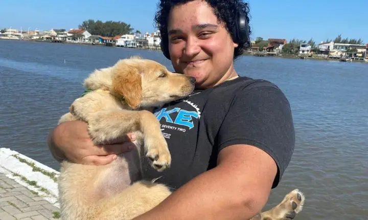 Sete Cães Ganharam Novos Lares Na Última Edição Da Feira De Adoção