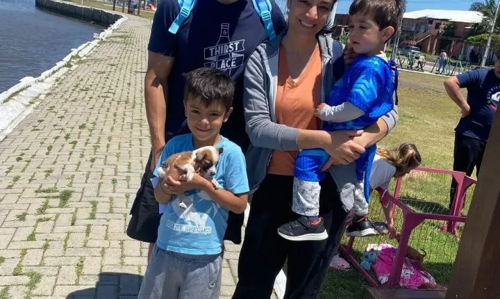 Sete Cães Ganharam Novos Lares Na Última Edição Da Feira De Adoção