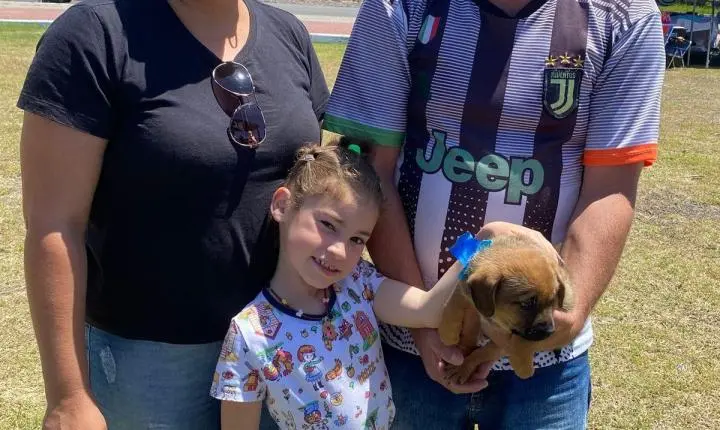 Sete Cães Ganharam Novos Lares Na Última Edição Da Feira De Adoção