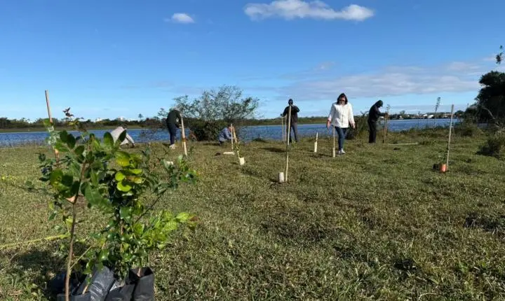 🌱 TORRES PLANTA 30 MUDAS NATIVAS ÀS MARGENS DO RIO MAMPITUBA!