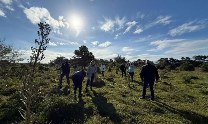 🌱 TORRES PLANTA 30 MUDAS NATIVAS ÀS MARGENS DO RIO MAMPITUBA!
