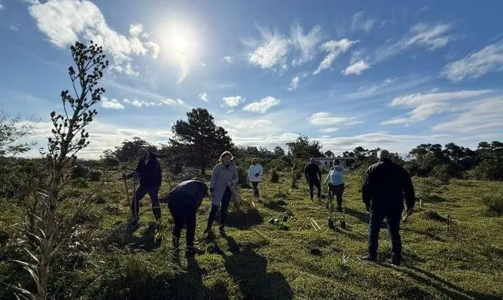🌱 TORRES PLANTA 30 MUDAS NATIVAS ÀS MARGENS DO RIO MAMPITUBA!