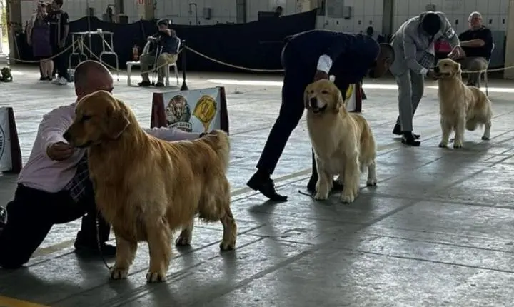 TRAMANDAÍ RECEBEU UM DOS MAIORES EVENTOS CINÓFILOS DO LITORAL NORTE! 🐶🐾